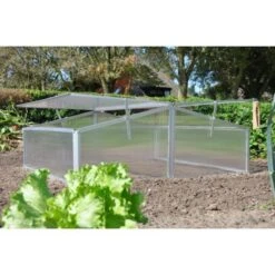 Royal Well Broeikas Silver Thyme -Tuinwinkel Voor Buitenartikelen 1200x1200 846