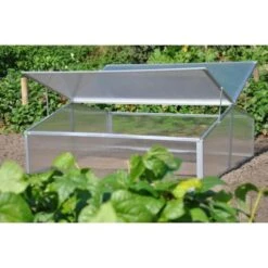 Royal Well Broeikas Silver Thyme -Tuinwinkel Voor Buitenartikelen 1200x1200 848