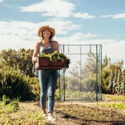 Relaxdays Tomatenkas 170 X 130 X 75 Cm - Folie Tuinkas - Grote Tomaten Kweekkas - Foliekas -Tuinwinkel Voor Buitenartikelen 1200x1200 880