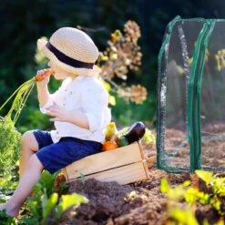 Relaxdays Kweekkas Tunnel Met Raam - Kleine Tuinkas - Ronde Broeikas - Kunststof Hobbykas -Tuinwinkel Voor Buitenartikelen 1200x1200 924