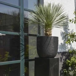 Capi Europe - Bloempot Bol Rib NL - 35x34 - Zwart - Voor Binnen En Buiten - KBLR932 24 Capi Europe - Bloempot Bol Rib NL - 35x34 - Zwart - Voor Binnen En Buiten - KBLR932 -Tuinwinkel Voor Buitenartikelen 1200x1200 948