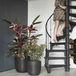 Capi Europe - Bloempot Bol Rib NL - 35x34 - Zwart - Voor Binnen En Buiten - KBLR932 27 Capi Europe - Bloempot Bol Rib NL - 35x34 - Zwart - Voor Binnen En Buiten - KBLR932 -Tuinwinkel Voor Buitenartikelen 1200x1200 950