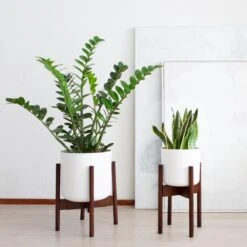 LifeGoods Planten Standaard - Uitschuifbare Bloempothouder - 20 Tot 30 Cm - Donker Bamboe 14 LifeGoods Planten Standaard - Uitschuifbare Bloempothouder - 20 Tot 30 Cm - Donker Bamboe -Tuinwinkel Voor Buitenartikelen 1200x1200 956