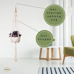 Plantenhanger - Plantenhanger Macrame - Set Van 2 - Wit - Knopen - Luxe Gevlochten Touw - Met Ophang Haken - Fienosa 8 Plantenhanger - Plantenhanger Macrame - Set Van 2 - Wit - Knopen - Luxe Gevlochten Touw - Met Ophang Haken - Fienosa -Tuinwinkel Voor Buitenartikelen 1200x1200 962