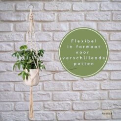 Plantenhanger - Plantenhanger Macrame - Set Van 2 - Wit - Knopen - Luxe Gevlochten Touw - Met Ophang Haken - Fienosa 9 Plantenhanger - Plantenhanger Macrame - Set Van 2 - Wit - Knopen - Luxe Gevlochten Touw - Met Ophang Haken - Fienosa -Tuinwinkel Voor Buitenartikelen 1200x1200 963