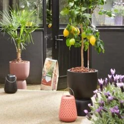 Elho Pure Coupe 35 - Bloempot Voor Binnen & Buiten - Ø 34.9 X H 49.0 Cm - Zwart/Zwart -Tuinwinkel Voor Buitenartikelen 1200x1200 979