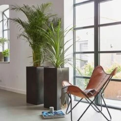 Capi Europe - Bloempot Rechthoek Smooth NL - 36x36x79 - Zwart - Voor Binnen En Buiten - KBL952 -Tuinwinkel Voor Buitenartikelen 1200x1200 981