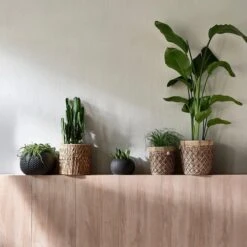 Riviera Maison Bloempot Voor Binnen Naturel - Rustic Rattan Diamond Weave Planter S -Tuinwinkel Voor Buitenartikelen 1200x1200 986