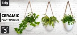 Gadgy Plantenhanger Keramiek - Set Van 3 - Hangpot Van Wit Steen - Hangende Bloempot Plantenpot - Met 3 Verschillende Koorden - 12x11x9.5CM 16 Gadgy Plantenhanger Keramiek - Set Van 3 - Hangpot Van Wit Steen - Hangende Bloempot Plantenpot - Met 3 Verschillende Koorden - 12x11x9.5CM -Tuinwinkel Voor Buitenartikelen 1200x552 1