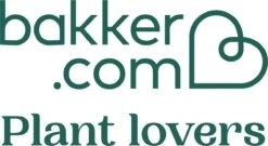 Pokon Stekpoeder - 25gr - Stimuleert Wortelvorming 11 Pokon Stekpoeder - 25gr - Stimuleert Wortelvorming -Tuinwinkel Voor Buitenartikelen 1200x657 3