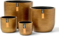 Capi Europe - Set Van 4 - Bloempot Binnen - Retro - - Goud - Bloempot Voor Binnen - BOX-BRTG-4 9 Capi Europe - Set Van 4 - Bloempot Binnen - Retro - - Goud - Bloempot Voor Binnen - BOX-BRTG-4 -Tuinwinkel Voor Buitenartikelen 1200x736 1