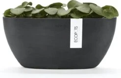 Ecopots | Sofia | Dark Grey | Binnenbloempot | 30 Cm | Ovaal -Tuinwinkel Voor Buitenartikelen 1200x781
