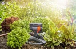 GARDENA - Zwenksproeier AquaZoom Compact - Tuinsproeier - 9 Tot 216 M² 21 GARDENA - Zwenksproeier AquaZoom Compact - Tuinsproeier - 9 Tot 216 M² -Tuinwinkel Voor Buitenartikelen 1200x785