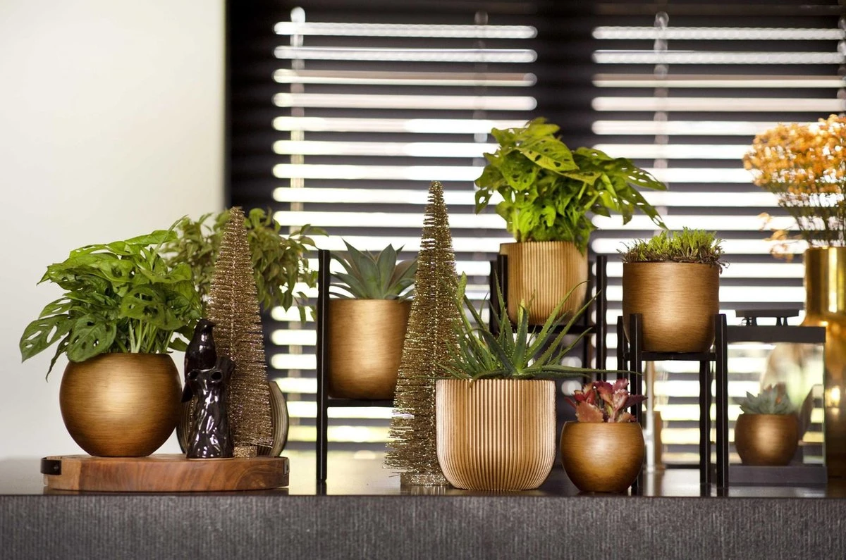 Capi Europe - Bloempot Bol Retro - 23x21 - Goud - Bloempot Voor Binnen - BRTG134 10 Capi Europe - Bloempot Bol Retro - 23x21 - Goud - Bloempot Voor Binnen - BRTG134 - Afbeelding 10