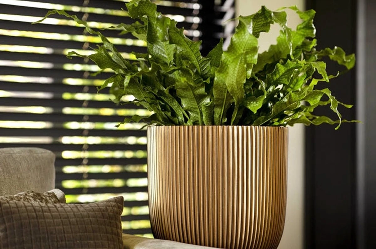 Capi Europe - Bloempot Bol Groove XL - 33x35 - Goud - Bloempot Voor Binnen - Opening ⌀28 - GVGB932 4 Capi Europe - Bloempot Bol Groove XL - 33x35 - Goud - Bloempot Voor Binnen - Opening ⌀28 - GVGB932 - Afbeelding 4