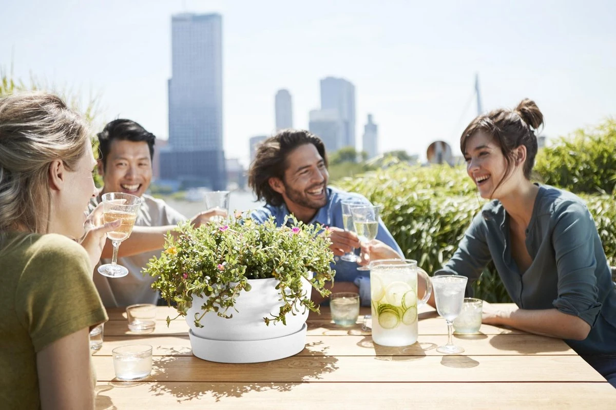 Elho Greenville Schaal 33 - Bloempot Voor Buiten - Ø 32.5 X H 19.4 Cm - Groen/Blad Groen 5 Elho Greenville Schaal 33 - Bloempot Voor Buiten - Ø 32.5 X H 19.4 Cm - Groen/Blad Groen - Afbeelding 5