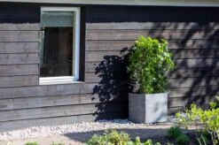 Capi Europe - Bloempot Vierkant Rib NL - 30x30x30 - Zwart - Voor Binnen En Buiten - KBLR902 -Tuinwinkel Voor Buitenartikelen 1200x799 48