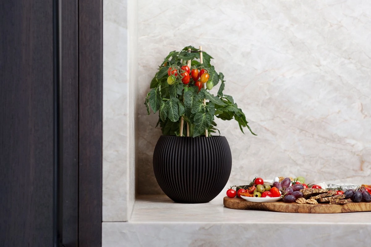 Capi Europe - Vaas Bol Groove - 29x26 - Zwart - Bloempot Voor Binnen - BGVBL104 2 Capi Europe - Vaas Bol Groove - 29x26 - Zwart - Bloempot Voor Binnen - BGVBL104 - Afbeelding 2