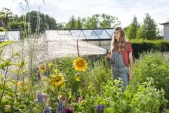 GARDENA - Comfort Broeskop - 5 Straalsoorten - Grijs -Tuinwinkel Voor Buitenartikelen 1200x800 109