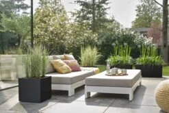 Elho Vivo Next Vierkant 40 - Plantenbak Voor Binnen & Buiten - Ø 39.0 X H 37.9 Cm - Zwart/Living Black 22 Elho Vivo Next Vierkant 40 - Plantenbak Voor Binnen & Buiten - Ø 39.0 X H 37.9 Cm - Zwart/Living Black -Tuinwinkel Voor Buitenartikelen 1200x800 126