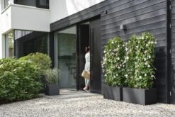 Elho Vivo Next Vierkant 40 - Plantenbak Voor Binnen & Buiten - Ø 39.0 X H 37.9 Cm - Zwart/Living Black 23 Elho Vivo Next Vierkant 40 - Plantenbak Voor Binnen & Buiten - Ø 39.0 X H 37.9 Cm - Zwart/Living Black -Tuinwinkel Voor Buitenartikelen 1200x800 127