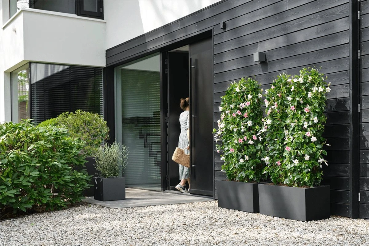 Elho Vivo Next Vierkant 40 - Plantenbak Voor Binnen & Buiten - Ø 39.0 X H 37.9 Cm - Zwart/Living Black 12 Elho Vivo Next Vierkant 40 - Plantenbak Voor Binnen & Buiten - Ø 39.0 X H 37.9 Cm - Zwart/Living Black - Afbeelding 12