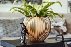 Capi Europe - Vaas Bol Groove XL - 63x51 - Goud - Bloempot Voor Binnen - Opening ⌀42 - GVGB271 7 Capi Europe - Vaas Bol Groove XL - 63x51 - Goud - Bloempot Voor Binnen - Opening ⌀42 - GVGB271 -Tuinwinkel Voor Buitenartikelen 1200x800 142