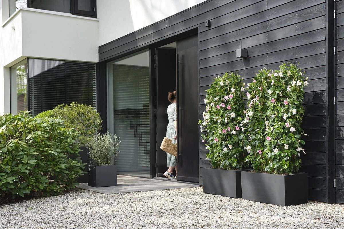 Elho Vivo Next Lang 60 - Bloempot Voor Binnen & Buiten - Ø 59.0 X H 29.2 Cm - Zwart/Living Black 6 Elho Vivo Next Lang 60 - Bloempot Voor Binnen & Buiten - Ø 59.0 X H 29.2 Cm - Zwart/Living Black - Afbeelding 6