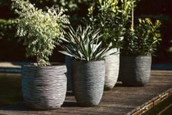 Capi Europe - Bloempot Bol Rib NL - 35x34 - Antraciet - Voor Binnen En Buiten - KOFZ932 10 Capi Europe - Bloempot Bol Rib NL - 35x34 - Antraciet - Voor Binnen En Buiten - KOFZ932 -Tuinwinkel Voor Buitenartikelen 1200x800 152