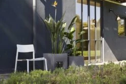 Capi Europe - Bloempot Vierkant Smooth NL - 50x50x50 - Zwart - Voor Binnen En Buiten - KBL904 27 Capi Europe - Bloempot Vierkant Smooth NL - 50x50x50 - Zwart - Voor Binnen En Buiten - KBL904 -Tuinwinkel Voor Buitenartikelen 1200x800 161