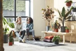 Elho B.for Soft Rond 35 - Bloempot Voor Binnen - Ø 34.5 X H 32.3 Cm - Antraciet -Tuinwinkel Voor Buitenartikelen 1200x800 168