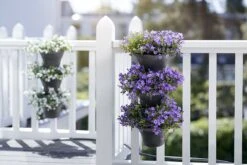 Elho Corsica Vertical Forest 24 - Bloempot Voor Balkonbuiten - Ø 26.7 X H 29.7 Cm - Zwart/Antraciet -Tuinwinkel Voor Buitenartikelen 1200x800 170