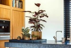 Capi Europe - Vaas Bol Groove XL - 39x33 - Goud - Bloempot Voor Binnen - Opening ⌀24 - GVGB270 -Tuinwinkel Voor Buitenartikelen 1200x800 175