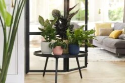 Elho Vibes Fold Rond 22 - Bloempot Voor Binnen - Ø 22.0 X H 20.2 Cm - Diepblauw -Tuinwinkel Voor Buitenartikelen 1200x800 183