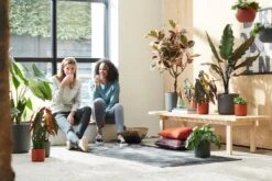 Elho B.for Soft Rond 25 - Bloempot Voor Binnen - Ø 24.7 X H 23.3 Cm - Antraciet 15 Elho B.for Soft Rond 25 - Bloempot Voor Binnen - Ø 24.7 X H 23.3 Cm - Antraciet -Tuinwinkel Voor Buitenartikelen 1200x800 188