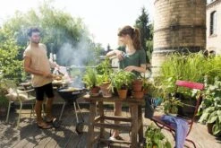 GARDENA - Terras Spiraalslang - 7.5 M Tuinslang - 9mm 11 GARDENA - Terras Spiraalslang - 7.5 M Tuinslang - 9mm -Tuinwinkel Voor Buitenartikelen 1200x800 28