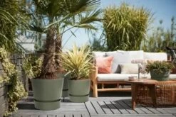 Elho Greenville Rond 30 - Grote Bloempot Voor Buiten - Gemaakt Van Gereycled Plastic - Ø 29.5 X H 27.8 Cm - Blad Groen -Tuinwinkel Voor Buitenartikelen 1200x801 13