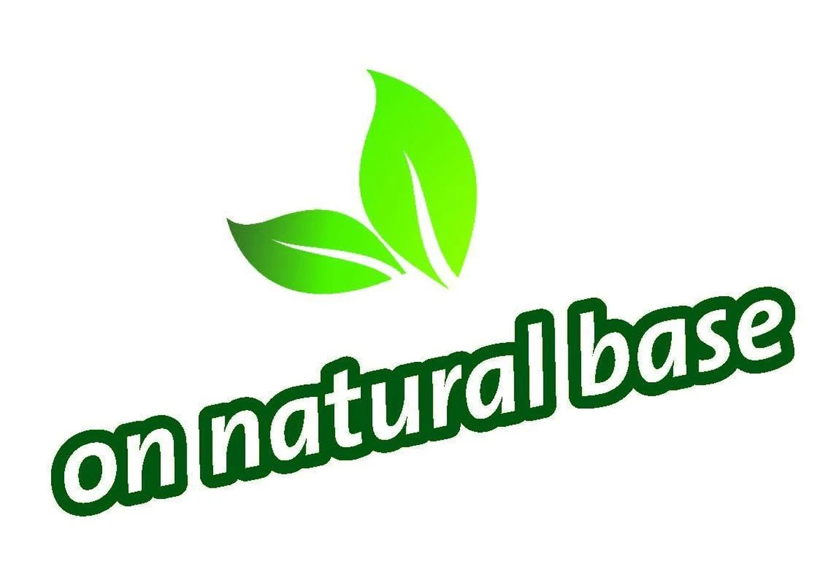 Topbuxus Buxus Health Mix 3 Topbuxus Buxus Health Mix - Afbeelding 3