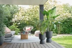 Elho Pure Coupe 35 - Bloempot Voor Binnen & Buiten - Ø 34.9 X H 49.0 Cm - Zwart/Zwart -Tuinwinkel Voor Buitenartikelen 1200x805 2