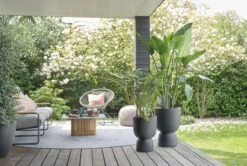 Elho Pure Coupe 41 - Bloempot Voor Binnen & Buiten - Ø 41.3 X H 57.9 Cm - Zwart/Zwart 18 Elho Pure Coupe 41 - Bloempot Voor Binnen & Buiten - Ø 41.3 X H 57.9 Cm - Zwart/Zwart -Tuinwinkel Voor Buitenartikelen 1200x805 3