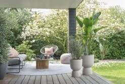 Elho Pure Coupe 41 - Bloempot Voor Binnen & Buiten - Ø 41.3 X H 57.9 Cm - Beige/Balanced Beige -Tuinwinkel Voor Buitenartikelen 1200x808 2