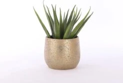 Mica Decorations Clemente Bloempot - H31 X Ø38 Cm - Terracotta - Goud 14 Mica Decorations Clemente Bloempot - H31 X Ø38 Cm - Terracotta - Goud -Tuinwinkel Voor Buitenartikelen 1200x813 5