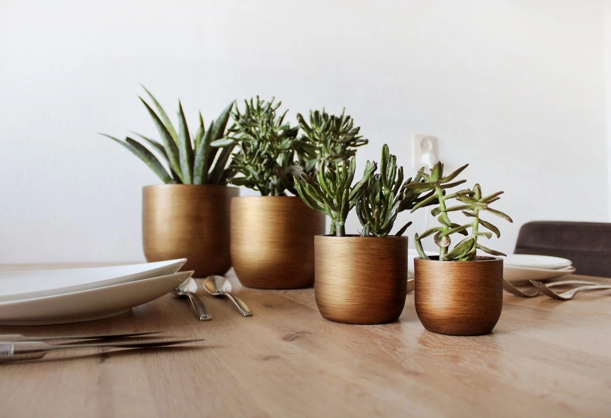 Capi Europe - Set Van 4 - Bloempot Binnen - Retro - - Goud - Bloempot Voor Binnen - BOX-BRTG-4 3 Capi Europe - Set Van 4 - Bloempot Binnen - Retro - - Goud - Bloempot Voor Binnen - BOX-BRTG-4 - Afbeelding 3