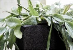 Capi Europe - Bloempot Vierkant Smooth NL - 40x40x40 - Zwart - Voor Binnen En Buiten - KBL903 -Tuinwinkel Voor Buitenartikelen 1200x820 2