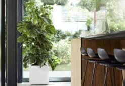 Elho Vivo Matt Finish Vierkant Wielen 40 - Grote Plantenbak Voor Binnen & Buiten - Gemaakt Van Gereycled Plastic - L 39 X W 39 X H 41 Cm - Wit -Tuinwinkel Voor Buitenartikelen 1200x832