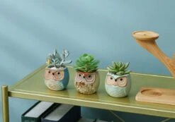 Luxe Bamboe Houten Boom Met 3 Keramiek Uil Bloempotten/Plantenpotten Op Standaard/Voet Voor Binnen En Buiten - Modern Design Bloempot/Plantenpot Op Poten/Pootjes-Plantenbak Mini Cactus Nep Plant Pot Houder - Kleine Bloembakken Plantenrek/Plantenkurk -Tuinwinkel Voor Buitenartikelen 1200x840 3