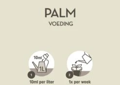 Pokon Palm Voeding - 250ml - Plantenvoeding - 10ml Per 1L Water -Tuinwinkel Voor Buitenartikelen 1200x856 1