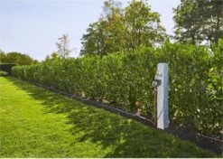 GARDENA - Besproeiingscomputer Flex - Geen App Vereist -Tuinwinkel Voor Buitenartikelen 1200x856