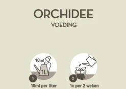 Pokon Orchidee Voeding - 250ml - Plantenvoeding - 10ml Per 1L Water -Tuinwinkel Voor Buitenartikelen 1200x856 3