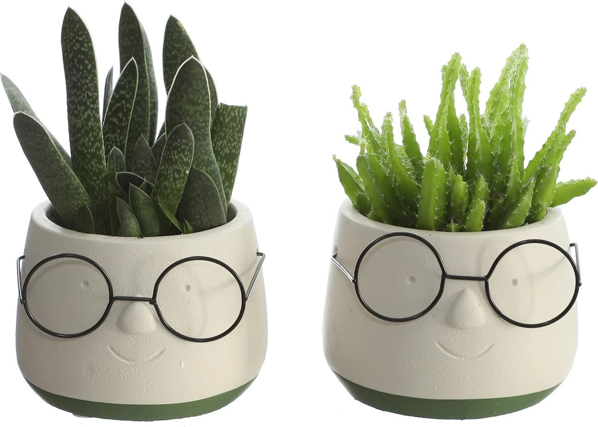 2x Bloempot Met Gezicht - Ø8 X H6,5 Cm - Bloempotten Voor Binnen Met Bril/Face/Hoofd 1 2x Bloempot Met Gezicht - Ø8 X H6,5 Cm - Bloempotten Voor Binnen Met Bril/Face/Hoofd